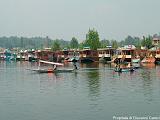 Srinagar-lago Dal2